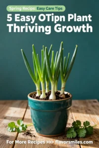 Spring Onion Plant: 5 Easy Tips for Thriving Growth